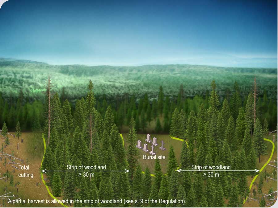 Strip of woodland around a burial site Strip of woodland around a burial site