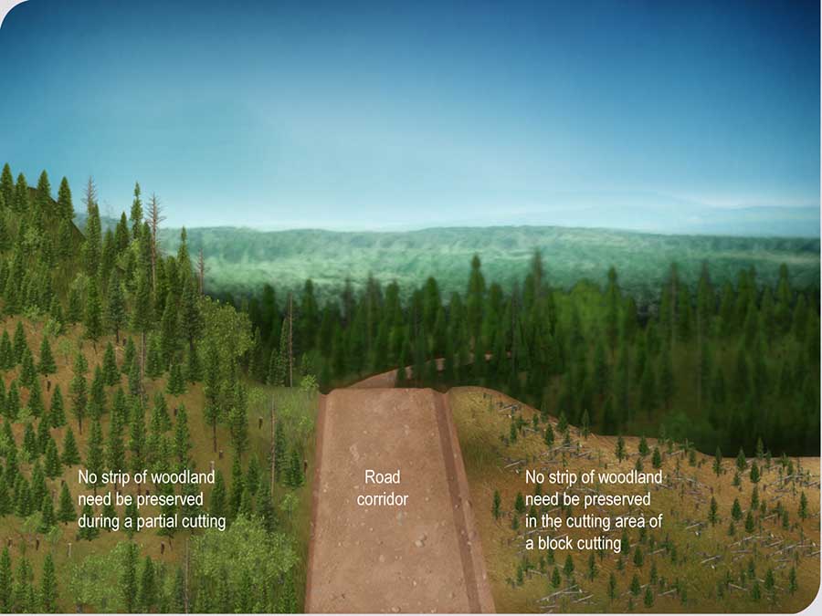 Block cutting and partial cutting along a road corridor Block cutting and partial cutting along a road corridor