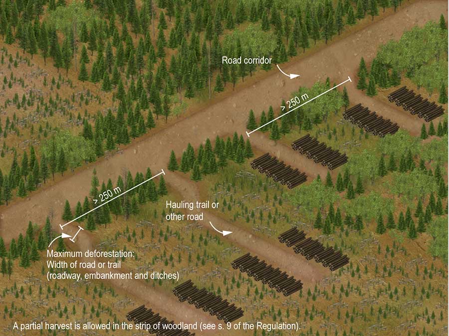 Spacing of hauling trails in the strip of woodland along a road corridor Spacing of hauling trails in the strip of woodland along a road corridor