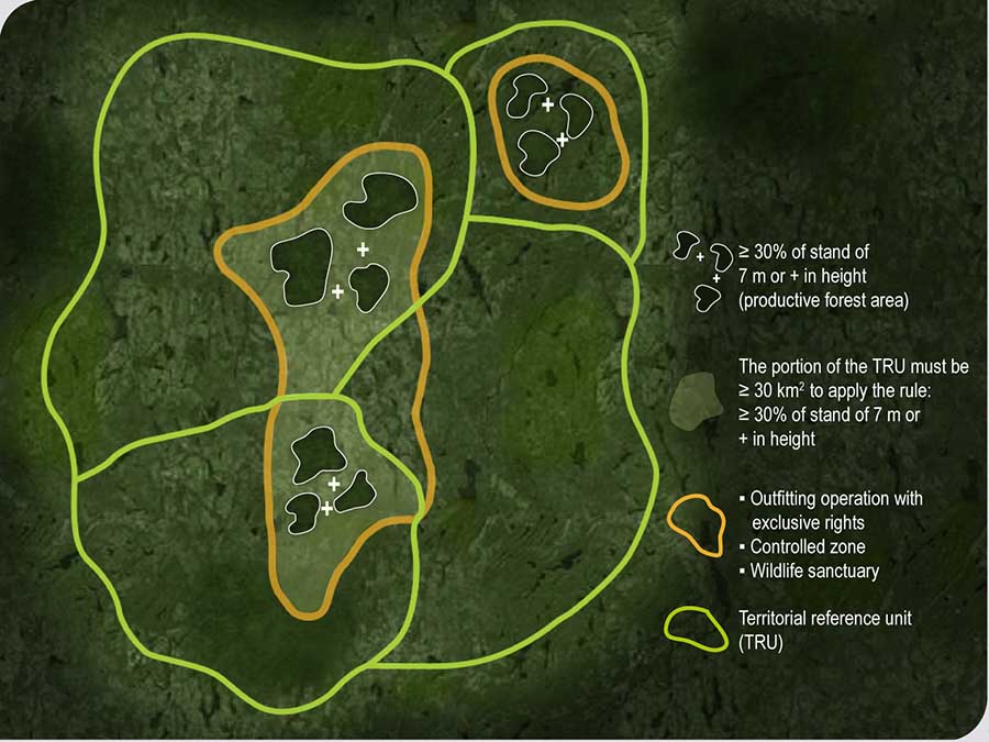 Percentage of forest stands of 7 m or more in height to be preserved in an outfitting operation with exclusive rights, in a controlled zone or in a wildlife preserve situated in the maple forest and fir forest bioclimatic domains Percentage of forest stands of 7 m or more in height to be preserved in an outfitting operation with exclusive rights, in a controlled zone or in a wildlife preserve situated in the maple forest and fir forest bioclimatic domains