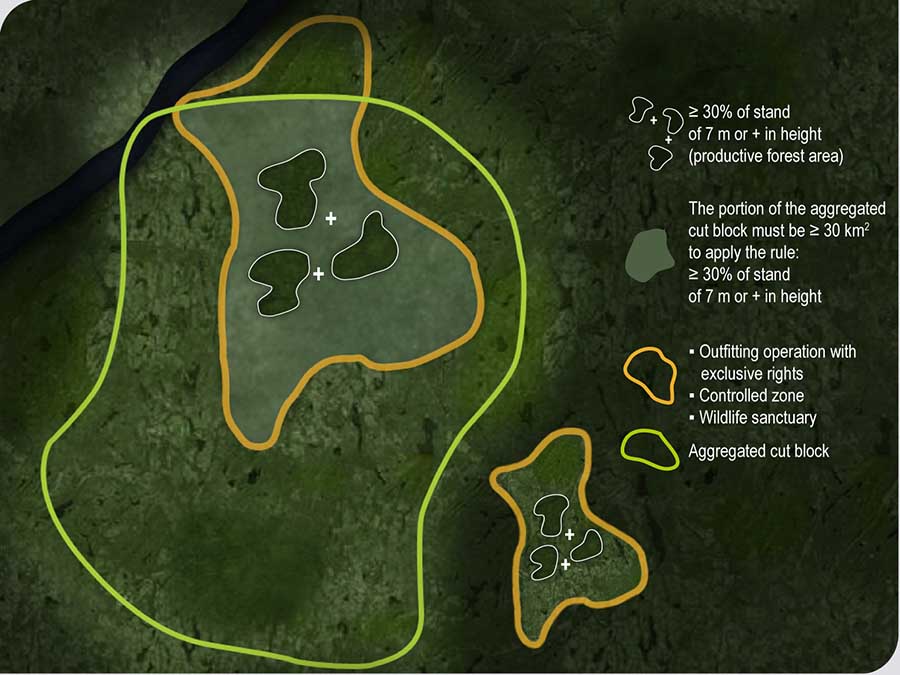 Percentage of forest stands of 7 m or more in height to be preserved in an outfitting operation with exclusive rights, in a controlled zone or in a wildlife preserve situated in the spruce-moss forest bioclimatic domain Percentage of forest stands of 7 m or more in height to be preserved in an outfitting operation with exclusive rights, in a controlled zone or in a wildlife preserve situated in the spruce-moss forest bioclimatic domain