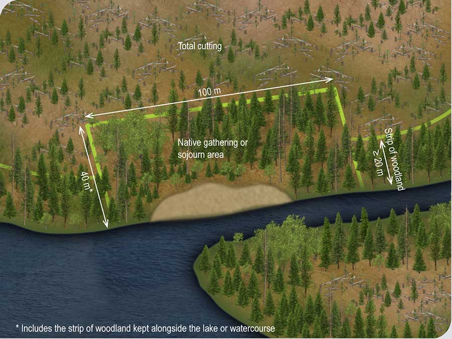 Area where forest development activities are prohibited around a Native gathering or sojourn area Area where forest development activities are prohibited around a Native gathering or sojourn area