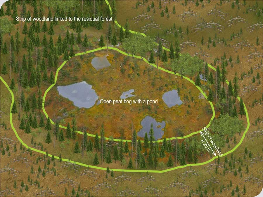 Figure 27A Strip of woodland alongside an open peat bog with a pond Figure 27A Strip of woodland alongside an open peat bog with a pond