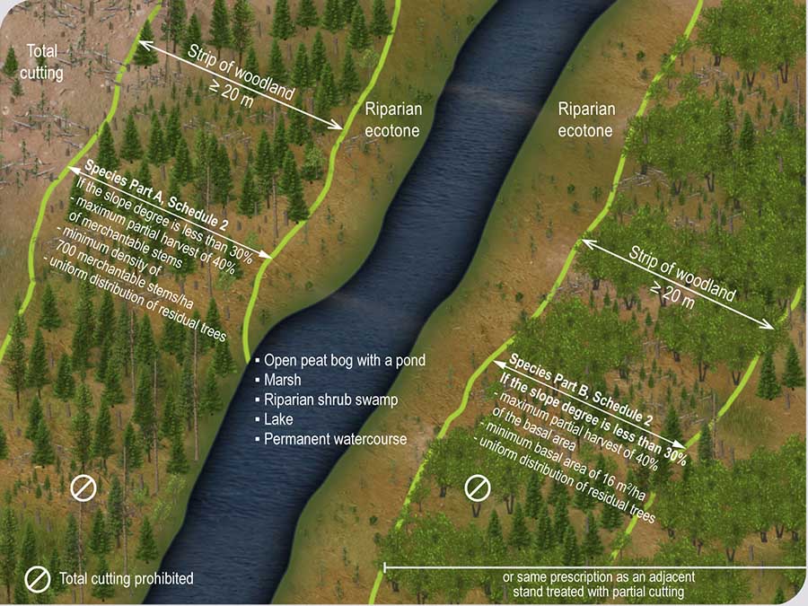 Partial cutting in a strip of woodland alongside a wetland or aquatic environment Partial cutting in a strip of woodland alongside a wetland or aquatic environment