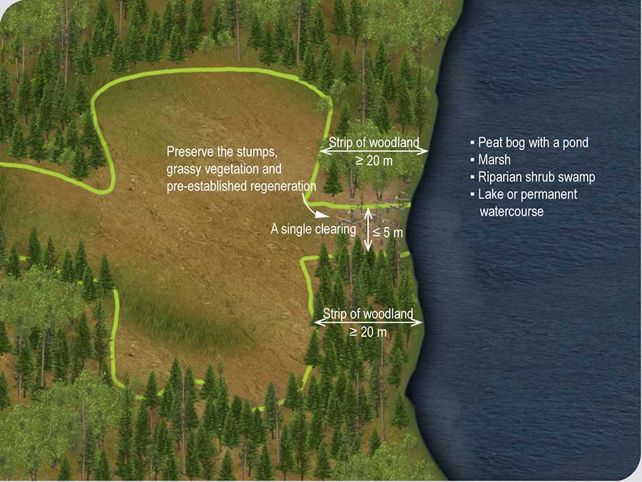 Clearing of an opening in the strip of woodland alongside a wetland or aquatic environment in order to carry out mining exploration work Clearing of an opening in the strip of woodland alongside a wetland or aquatic environment in order to carry out mining exploration work