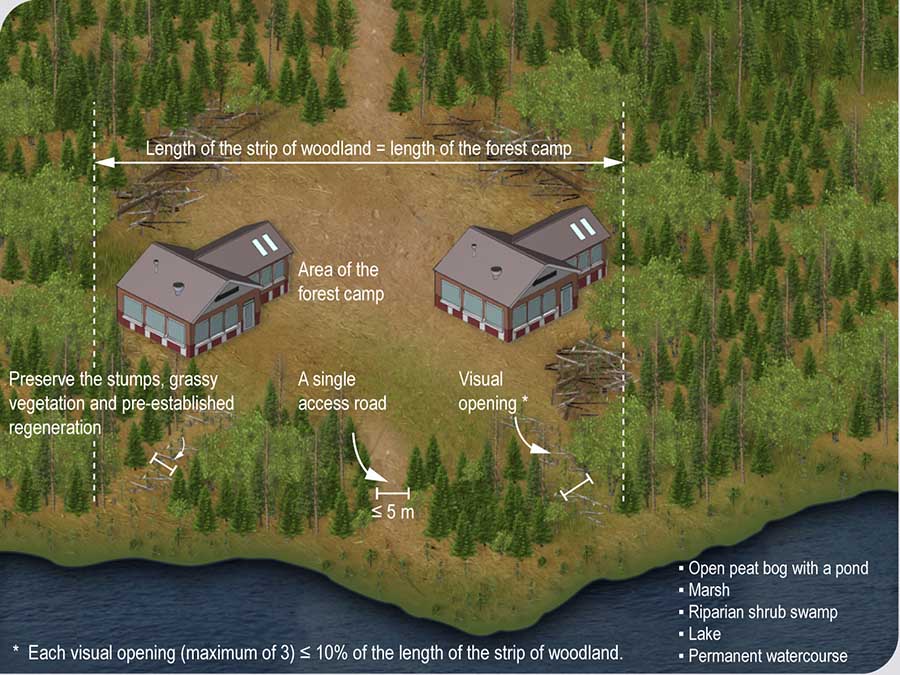 Clearing of openings in the strip of woodland alongside a wetland or aquatic environment located near a forest camp Clearing of openings in the strip of woodland alongside a wetland or aquatic environment located near a forest camp