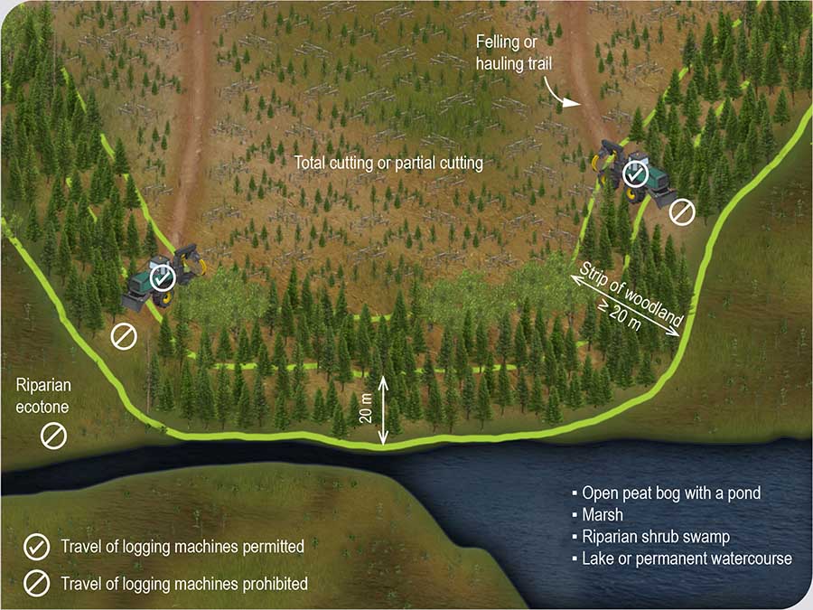 Rules governing travel of logging machines in the riparian ecotone and in the strip of woodland alongside a wetland or aquatic environment Rules governing travel of logging machines in the riparian ecotone and in the strip of woodland alongside a wetland or aquatic environment