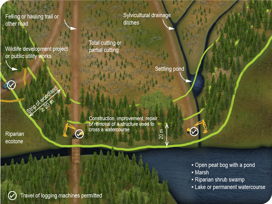 Rules governing travel of logging machines in the riparian ecotone and in the strip of woodland alongside a wetland or aquatic environment Rules governing travel of logging machines in the riparian ecotone and in the strip of woodland alongside a wetland or aquatic environment