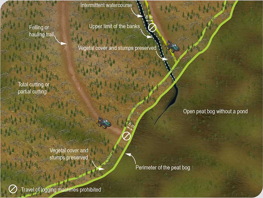 Rules governing the travel of logging machines alongside a wetland or aquatic environment Rules governing the travel of logging machines alongside a wetland or aquatic environment