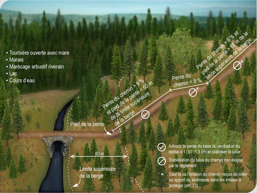 Stabilisation des talus d'un chemin dont la pente supérieure à 9 % Stabilisation des talus d'un chemin dont la pente supérieure à 9 %