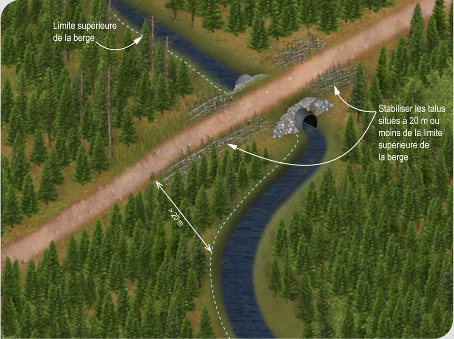 Stabilisation des talus de remblai situés à 20 m ou moins du cours d'eau Stabilisation des talus de remblai situés à 20 m ou moins du cours d'eau