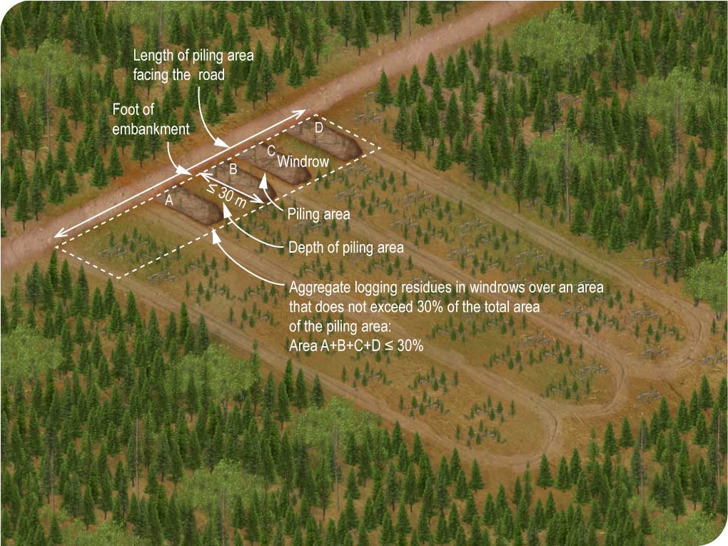 Windrowing or spreading of logging residues during total cutting of whole trees Windrowing or spreading of logging residues during total cutting of whole trees