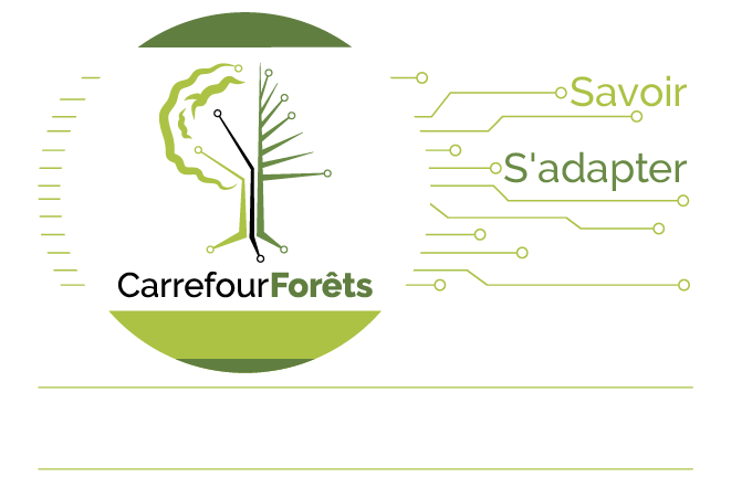 Carrefour Forêts 2023